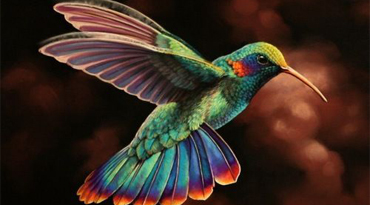 WHY DID WE NAME OUR NEW 3D SCANNER AFTER A BIRD?