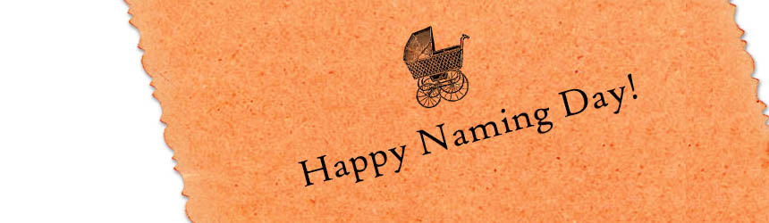 HOW TO NAME A 3D SCANNER